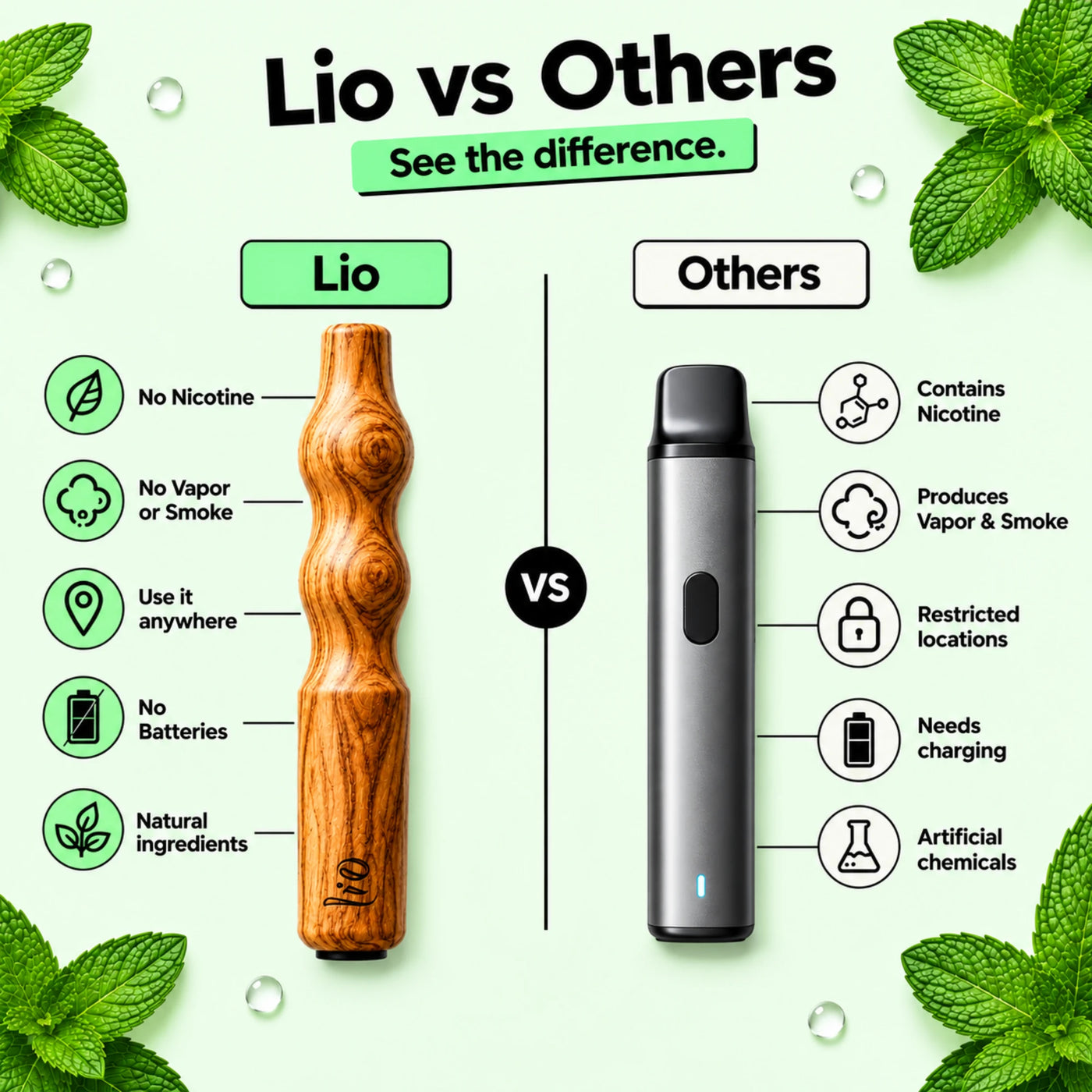 [en] The Lio difference